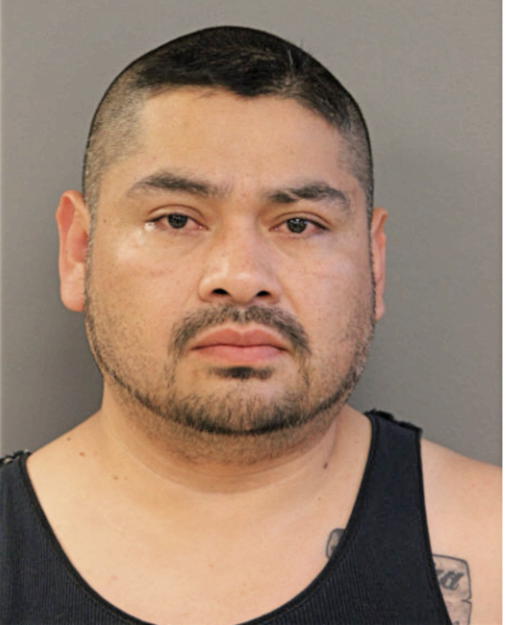 EFRAIN CASTILLO- DE JESUS, Cook County, Illinois