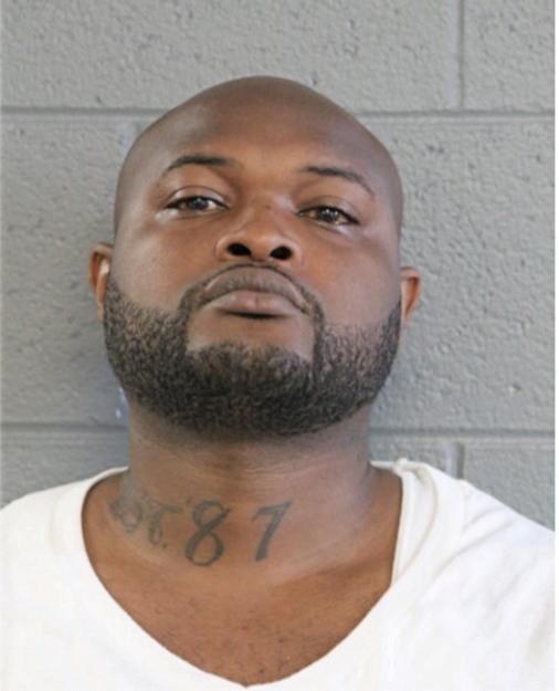 BRIAN M DONSON, Cook County, Illinois