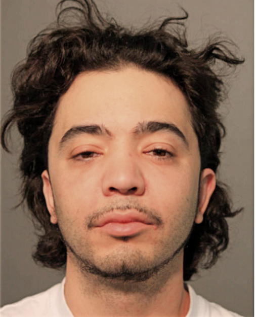 LEONARDO FERNANDEZ, Cook County, Illinois