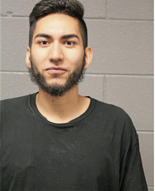 MATHEW T GONZALES, Cook County, Illinois