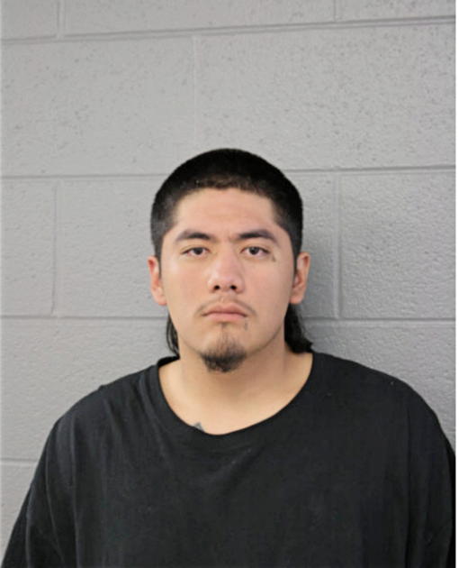 SERGIO GONZALEZ, Cook County, Illinois