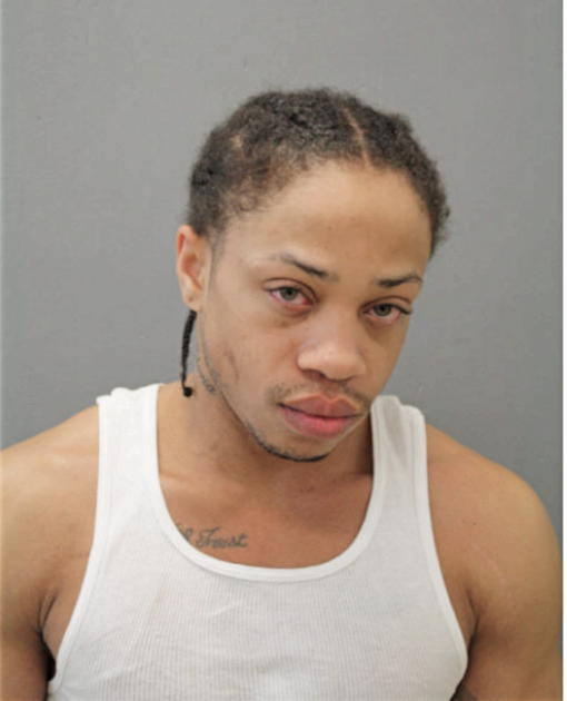 TERRANCE J HOGAN, Cook County, Illinois