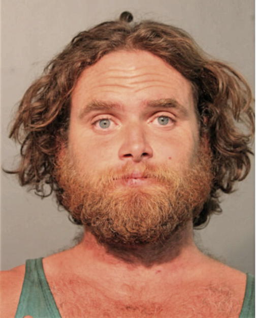 BRANDON D HOOBLER, Cook County, Illinois