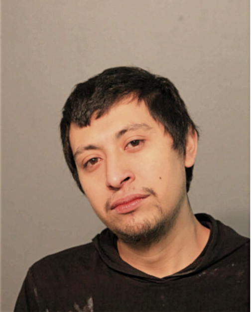 FIDEL HUERTA, Cook County, Illinois