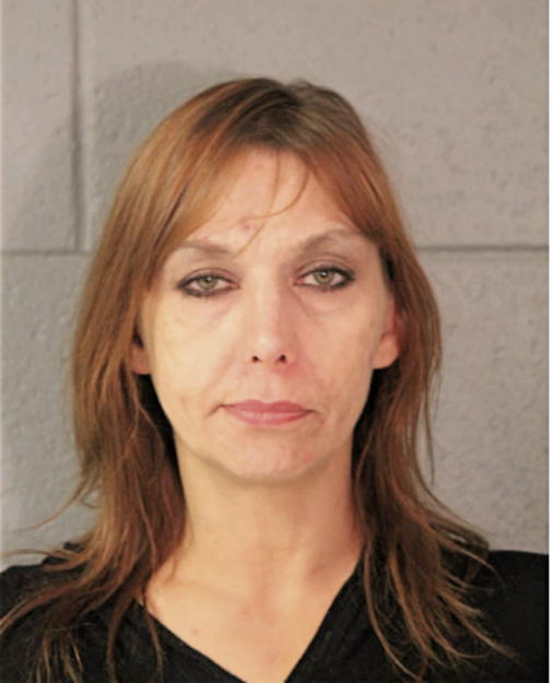 DEBRA S HYDE, Cook County, Illinois