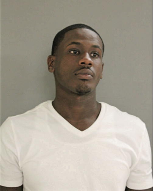 CHRISTIAN L JAMES, Cook County, Illinois