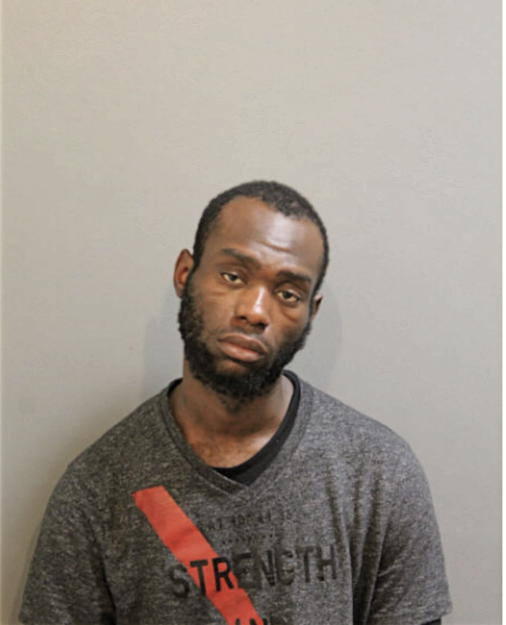 REGINALD D JAMES, Cook County, Illinois