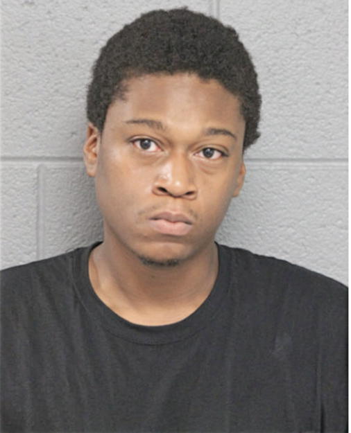 ROBERT L JOHNSON, Cook County, Illinois