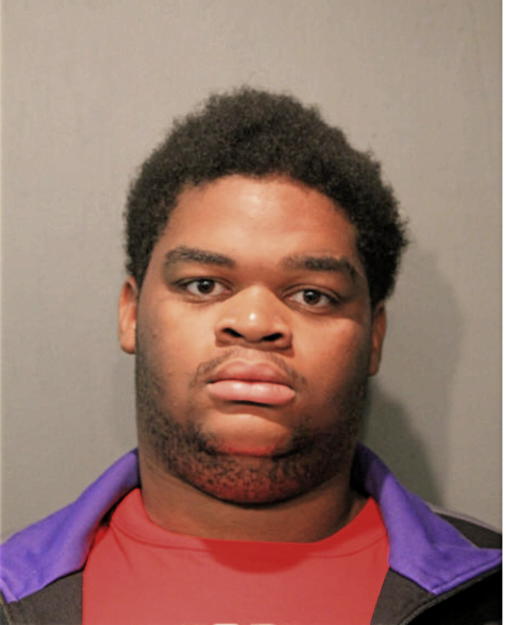 JERMAINE L MITCHELL JR, Cook County, Illinois