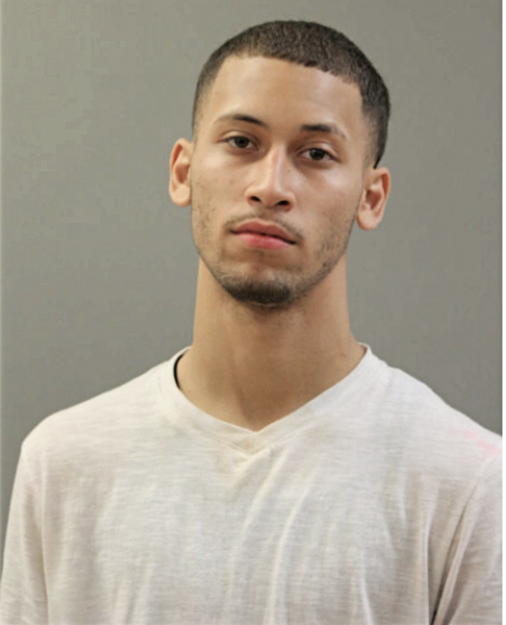 GEORGE A LAUREANO, Cook County, Illinois