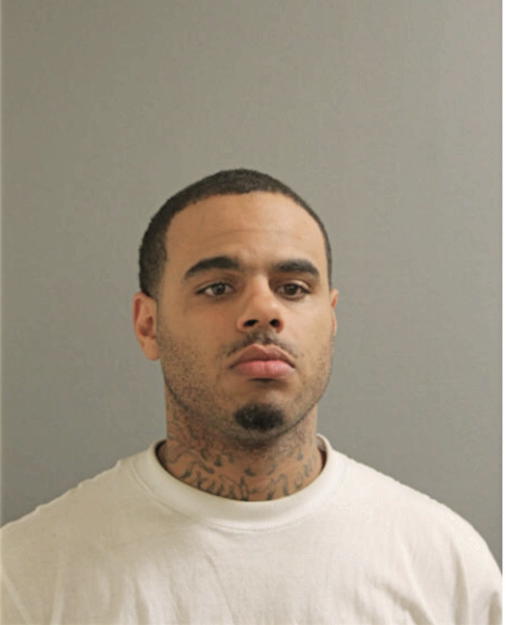 DEVIN LEE LOGGINS, Cook County, Illinois