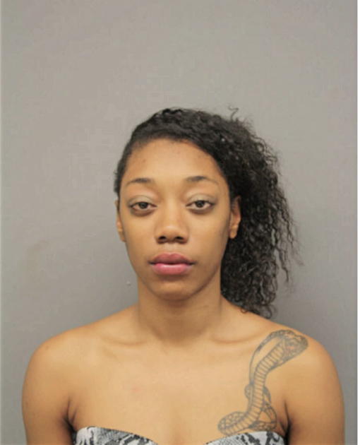 SHALONDA J LEWIS, Cook County, Illinois