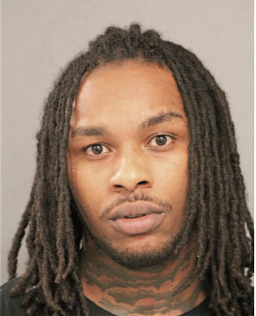 ANTHONY M JOHNSON, Cook County, Illinois