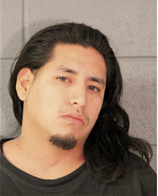 ROBERTO MARTINEZ, Cook County, Illinois