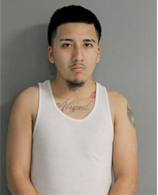PEDRO MENDIOLA, Cook County, Illinois