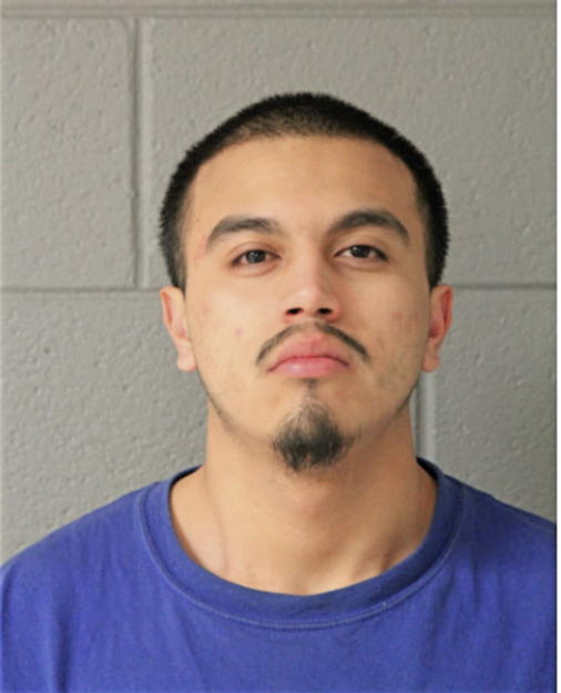 MICHAEL NARES, Cook County, Illinois