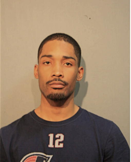 RYAN A PETERSON, Cook County, Illinois