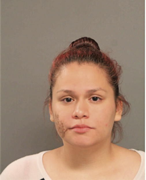 ALEXIS G REYES, Cook County, Illinois