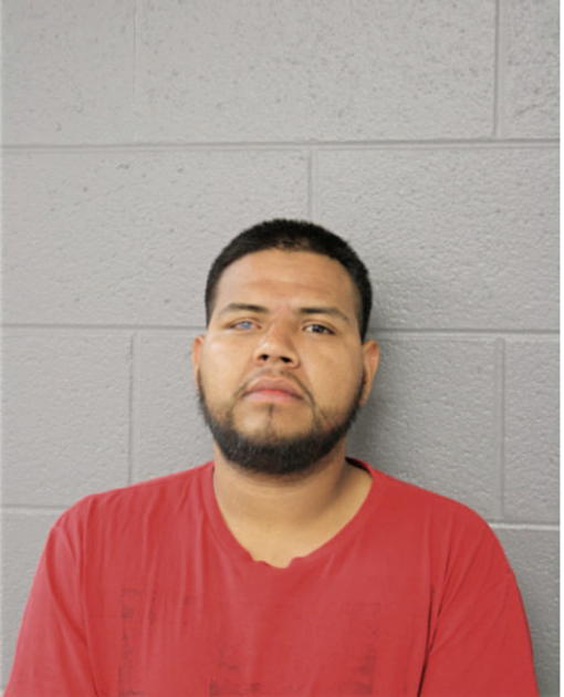 ALBERTO RUIZ, Cook County, Illinois