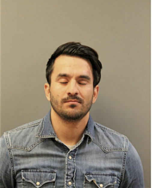 LUIS A SANCHEZ, Cook County, Illinois