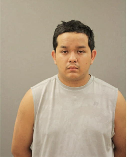 JUAN ROBERTO SANDOVAL, Cook County, Illinois