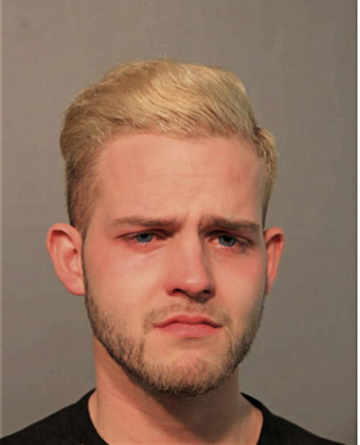 MATTHEW R SHANNON, Cook County, Illinois