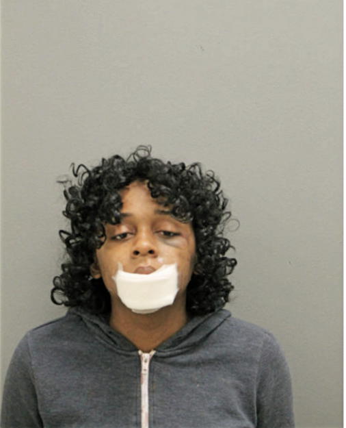 CHYNNA J STAPLETON, Cook County, Illinois
