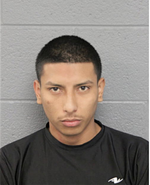 VICTOR M ZAVALETA, Cook County, Illinois