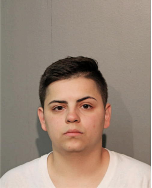 ARIEL B ALMAGUER, Cook County, Illinois