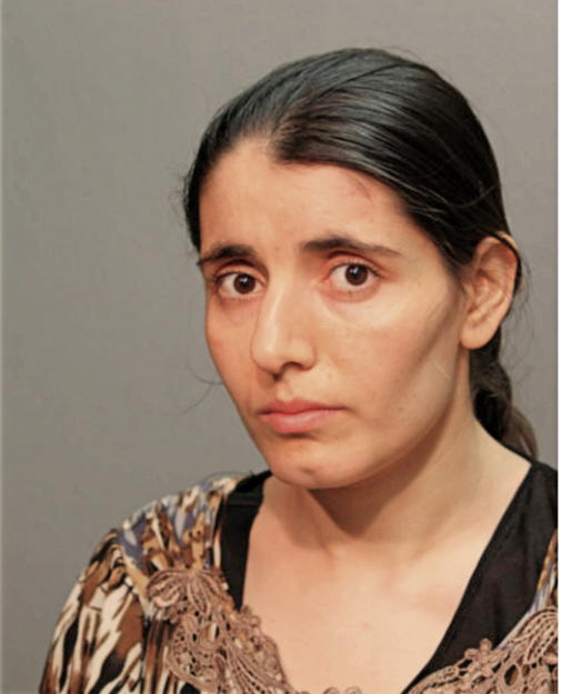 ALIA JAN ARSALAH, Cook County, Illinois