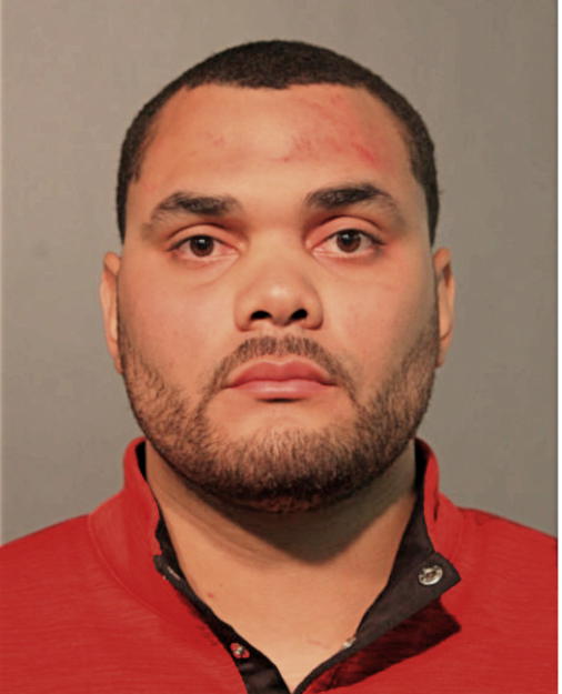 CHRISTAIN R BRIDGEMAN, Cook County, Illinois