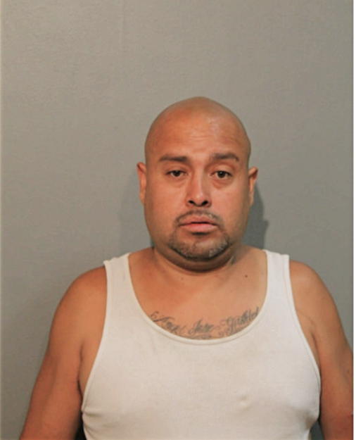 ENRIQUE P CERVANTES, Cook County, Illinois