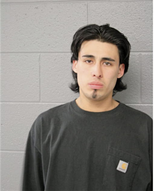 SALVADOR CHAVEZ, Cook County, Illinois
