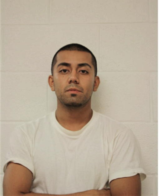 DAVID ALFONSO COKA, Cook County, Illinois