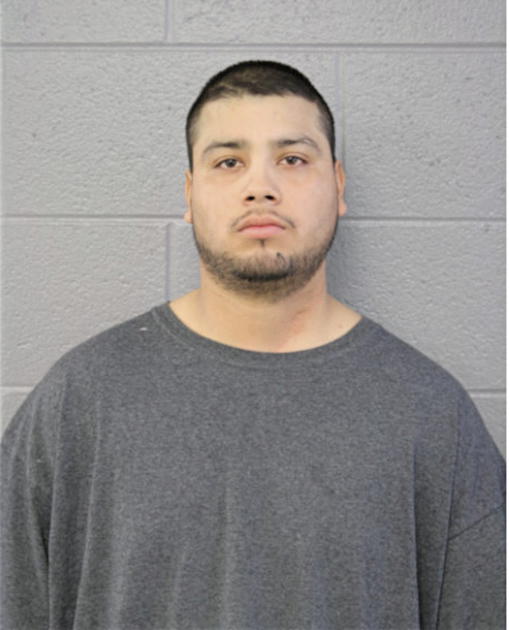 OSCAR ENRIQUE, Cook County, Illinois