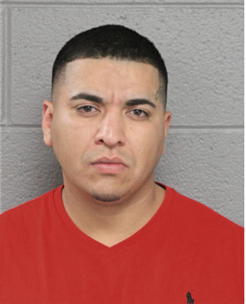 VICTOR FLORES, Cook County, Illinois