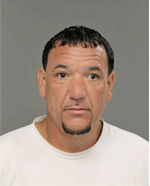 JOSE A FONSECA, Cook County, Illinois