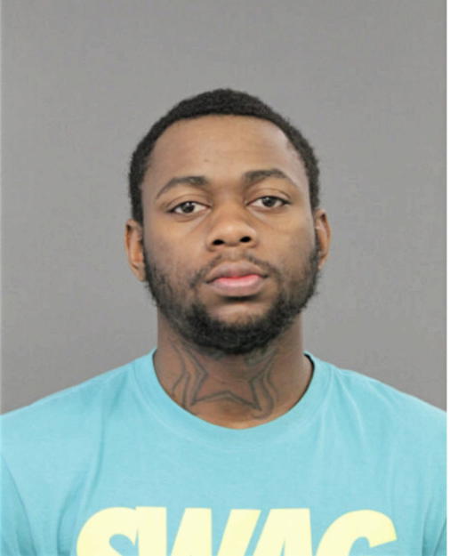 ANDRE J FULTON, Cook County, Illinois