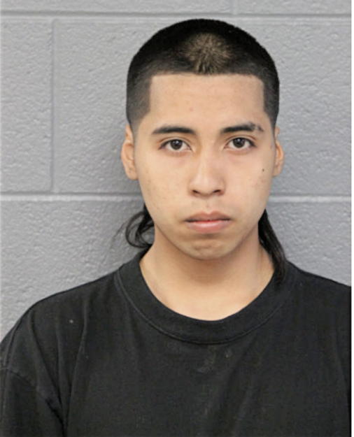 ANTHONY GRANADOS, Cook County, Illinois