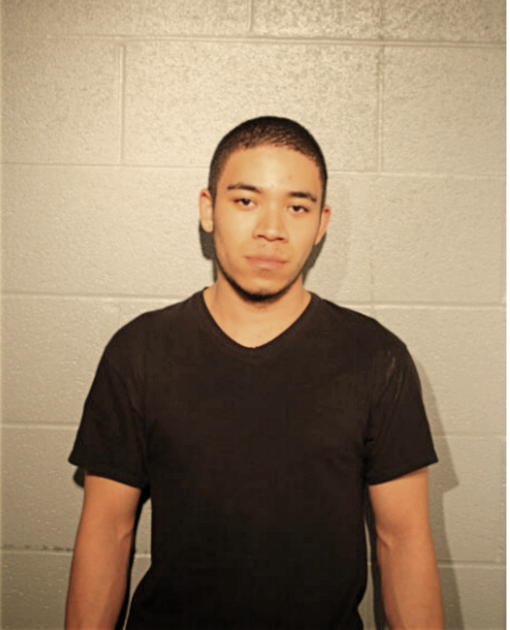 JULIAN C GREENE, Cook County, Illinois