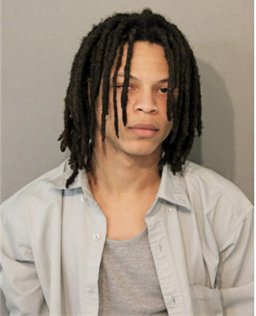 DION T HENLEY, Cook County, Illinois