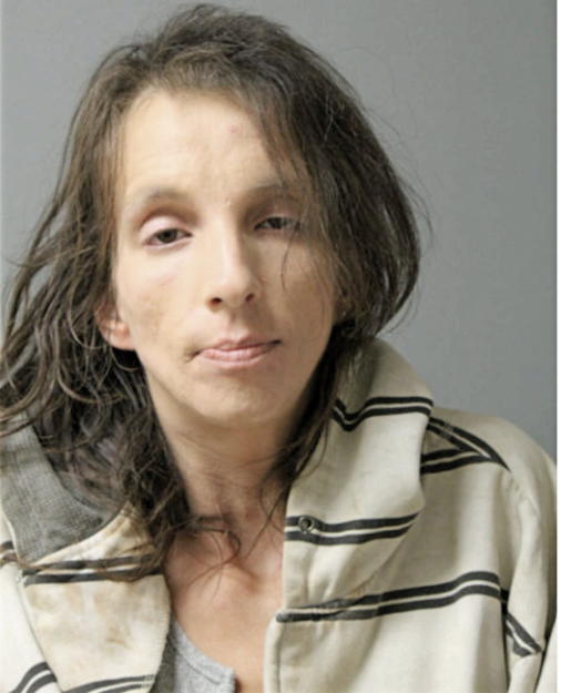 STEFFANY L HOLLAND, Cook County, Illinois
