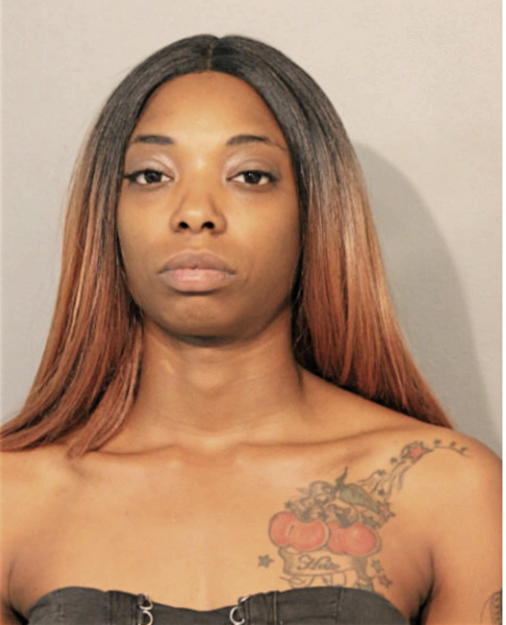 ACCURIA J JOHNSON, Cook County, Illinois