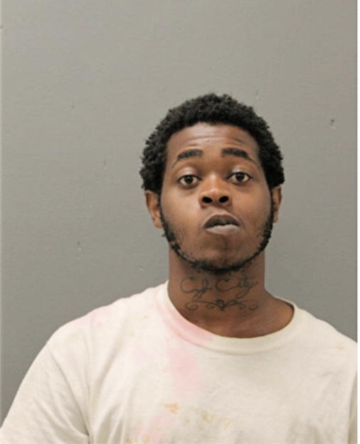 BRIAN T JONES, Cook County, Illinois