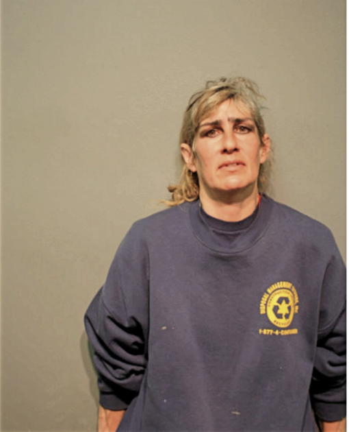 DONNA J KOCH, Cook County, Illinois
