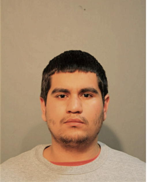 FABIAN MARTINEZ, Cook County, Illinois