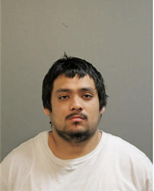 RALPH D MENDEZ, Cook County, Illinois