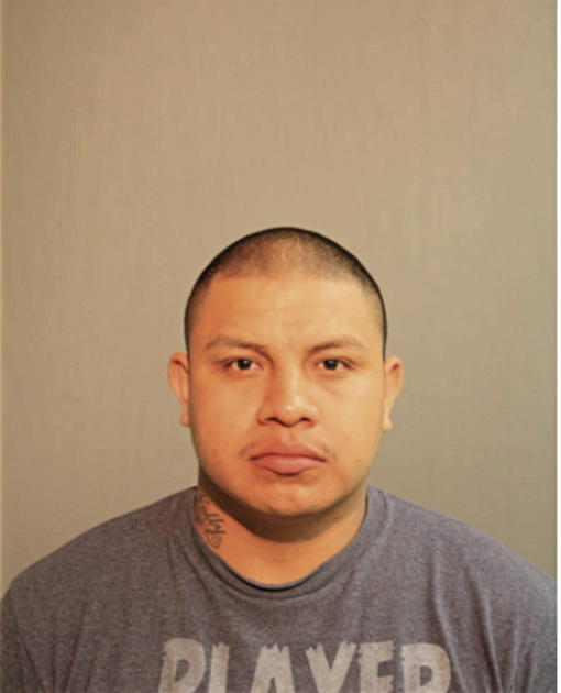 ENRIQUE B MENDOZA, Cook County, Illinois