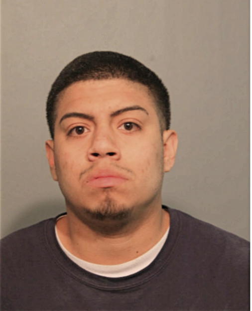NOEL MENDOZA, Cook County, Illinois