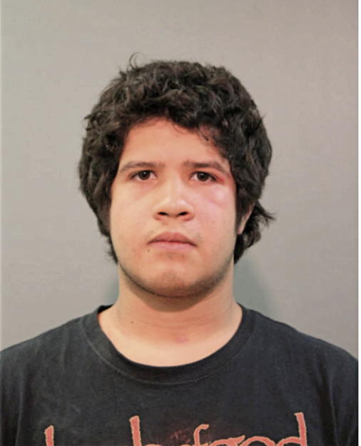 MATTHEW B MORALES, Cook County, Illinois